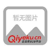 供應扣針、別針、環保無鉛扣針、衣扣